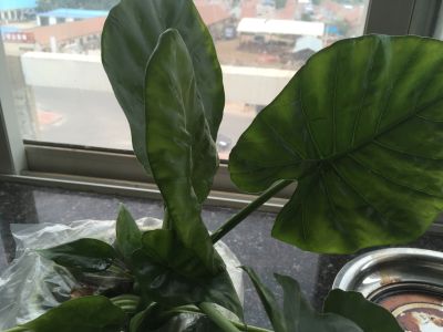 室内装修