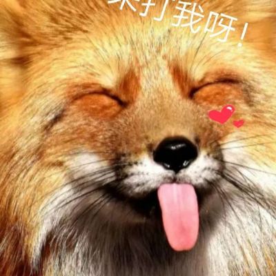 接单