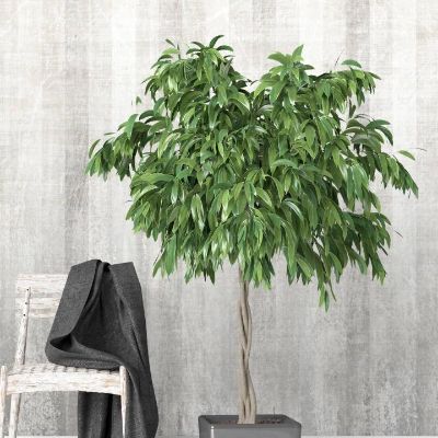 机械设计电脑维修