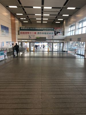 地板