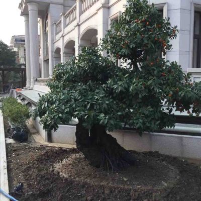 专业安装师傅