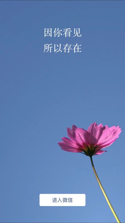 个体