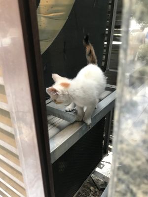 计算机
