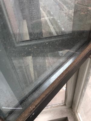无业