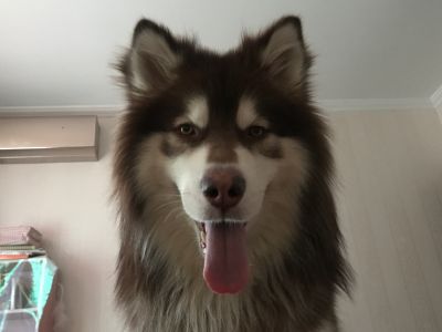 装修