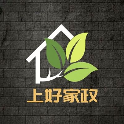 家政月嫂护工保洁