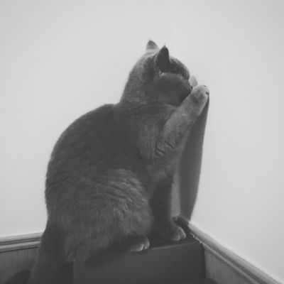 安装