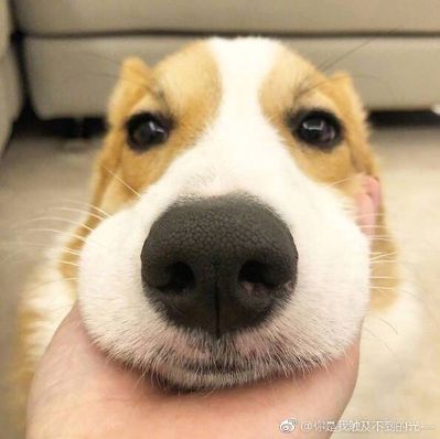 组装鞋柜