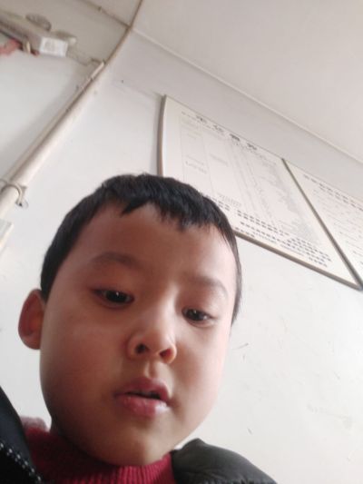 美术