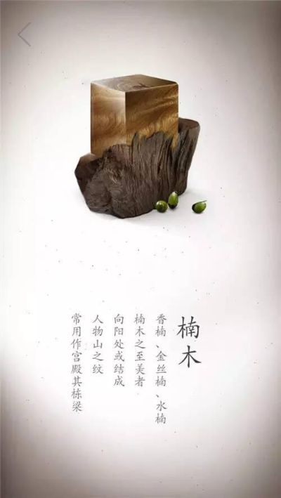 设计师