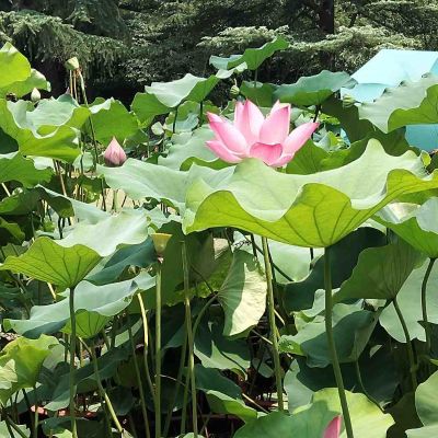 家具安装家具安装