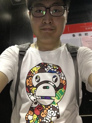 宠物