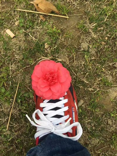 安装保养广告安装