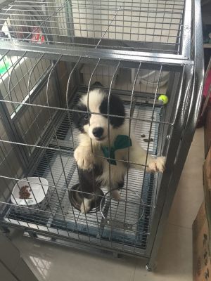 木工