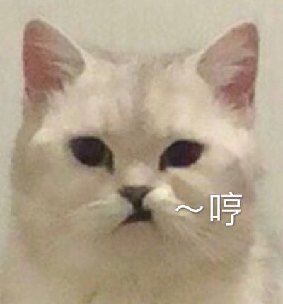 服务