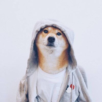 护理