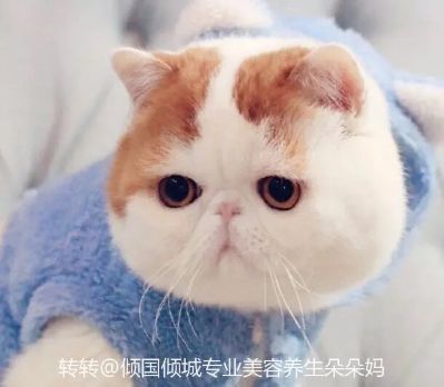 服装