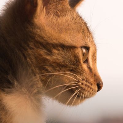 水电安装经验熟练水电安装