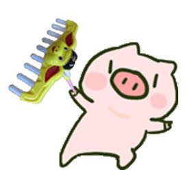安装
