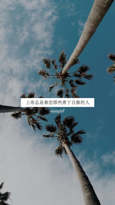 家具