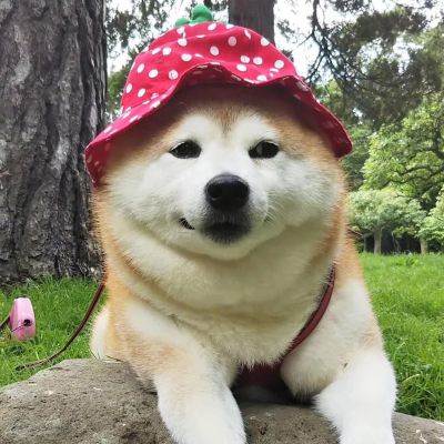 室内设计