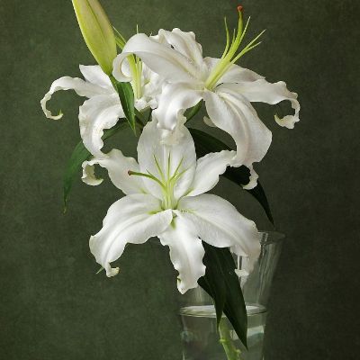 按装橱柜衣柜安装水电安装