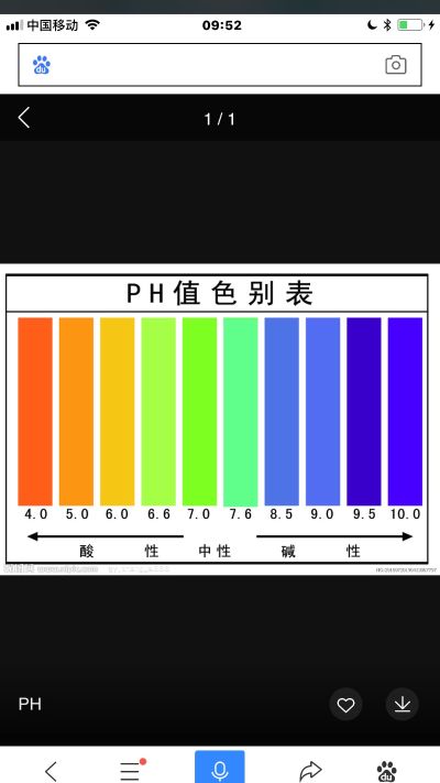 养殖