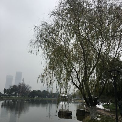 家具