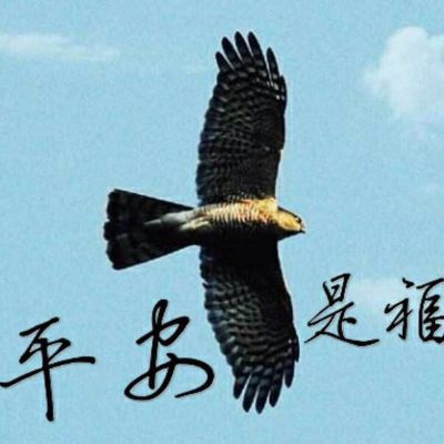 抢微信红包微信抢红包