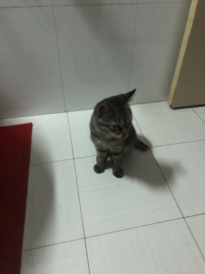 家具