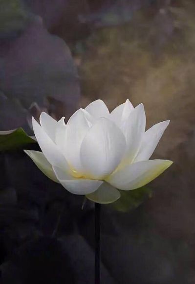 水电