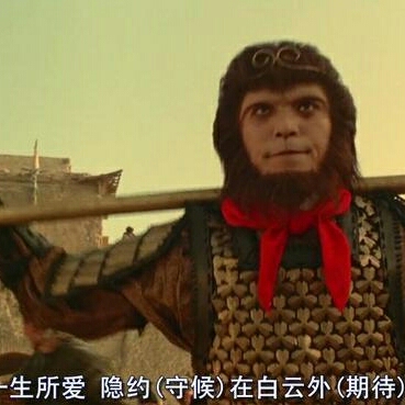 司机工程呆兰