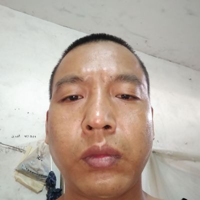 专业贴砖