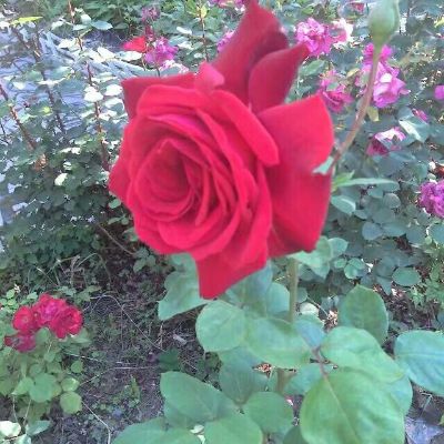 水电安装改造水电卫浴安装