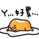 大专