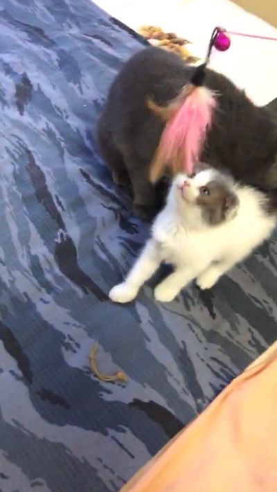 安装