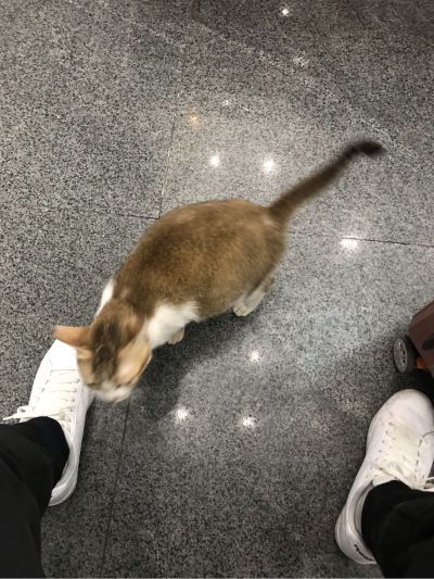 无