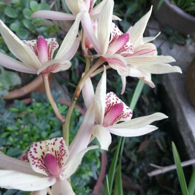 洁具水电安装水电安装维修