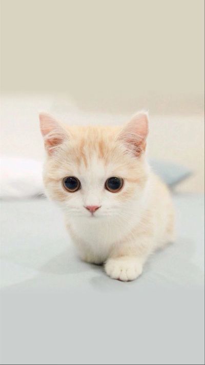 家电维修