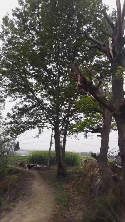 洁具水电安装