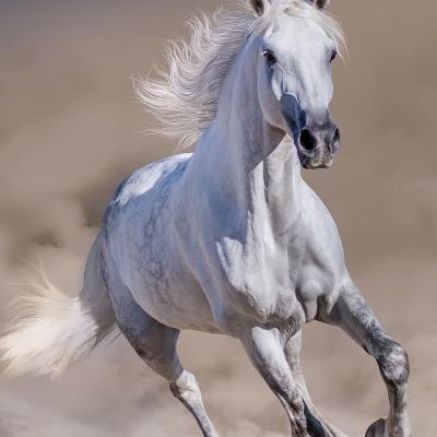 电器安装维修电器器安维修空调安安维修