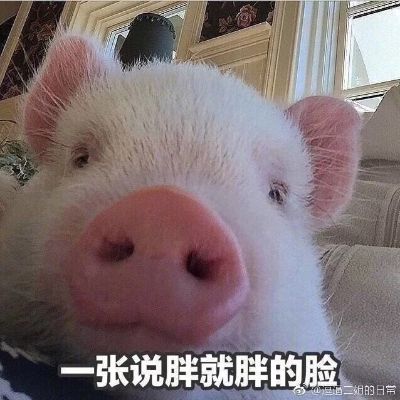 物流
