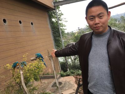 安装窗帘卷帘