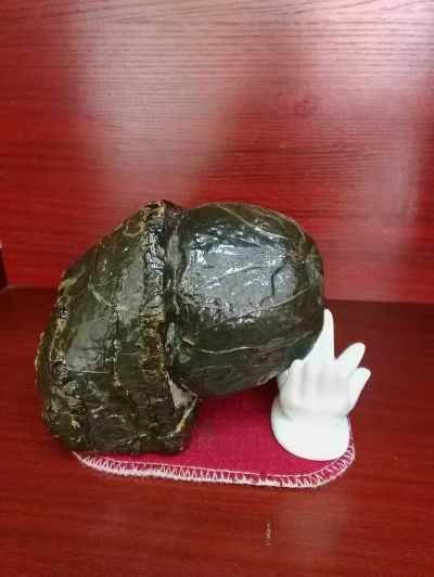 家具水电