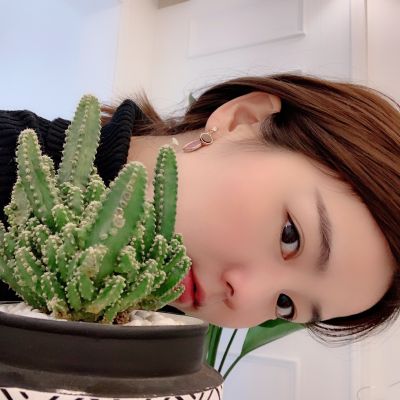 安装