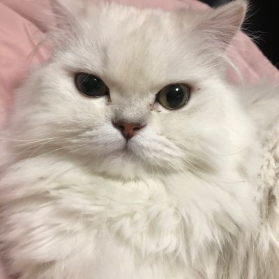 传媒