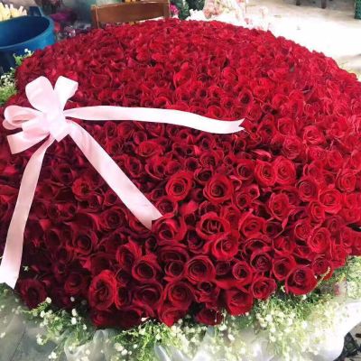 鲜花绿植批发鲜花绿植服务