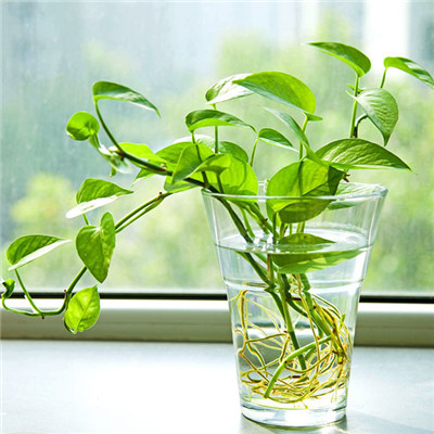 电焊安装太阳能热水器水暖电工钳工铆工