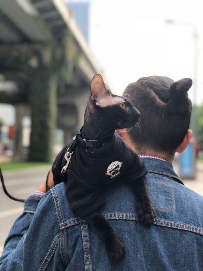 陶瓷打孔