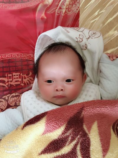 窗帘